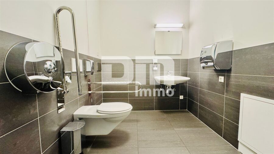 Gewerbeensemble Produktionshallen + Bürogebäude und umfangreiche Freiflächen - Bürogebäude Behinderten WC